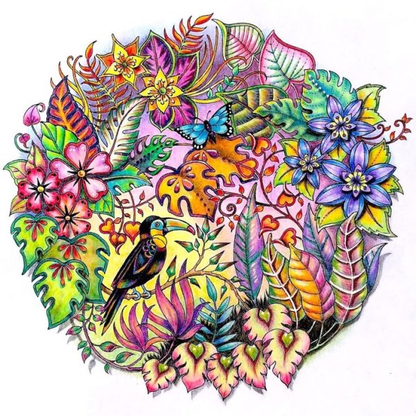 Бэсфорд Джоанна "мир цветов"