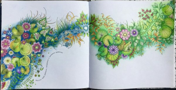 Таинственный сад гирлянда Раскрашенная