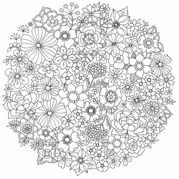 Джоанна Бэсфорд мир