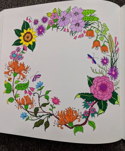 Мир цветов Джоанна Басфорд