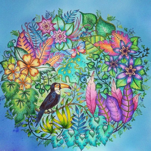 Удивительные джунгли Бэсфорд Джоанна