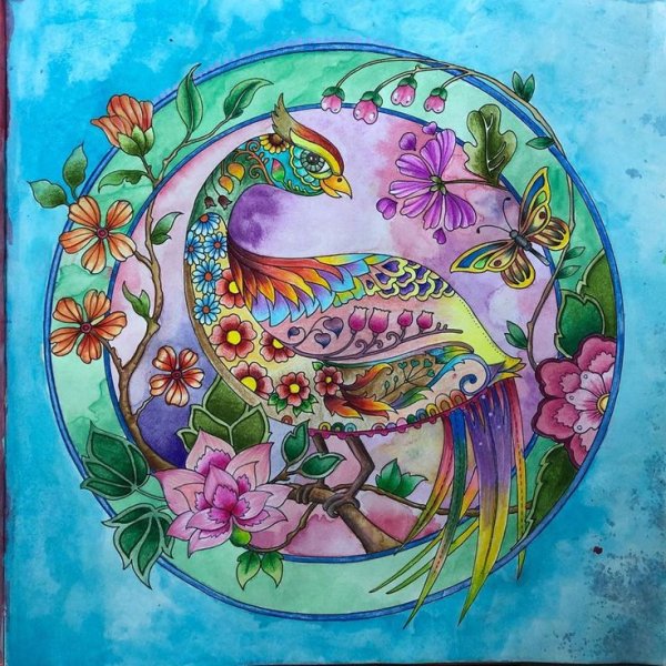 Мир цветов Джоанна Басфорд готовые работы