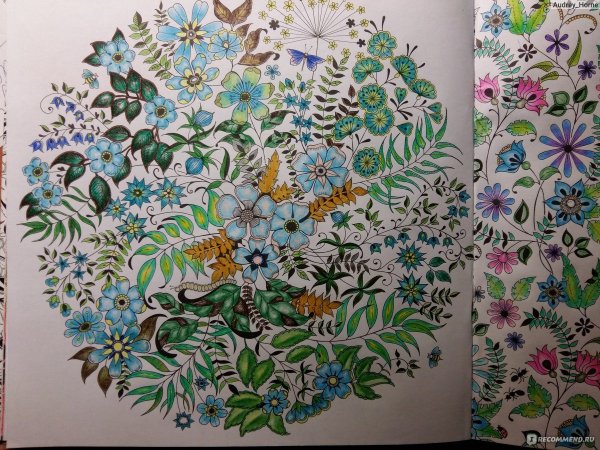 Джоанна Босфор