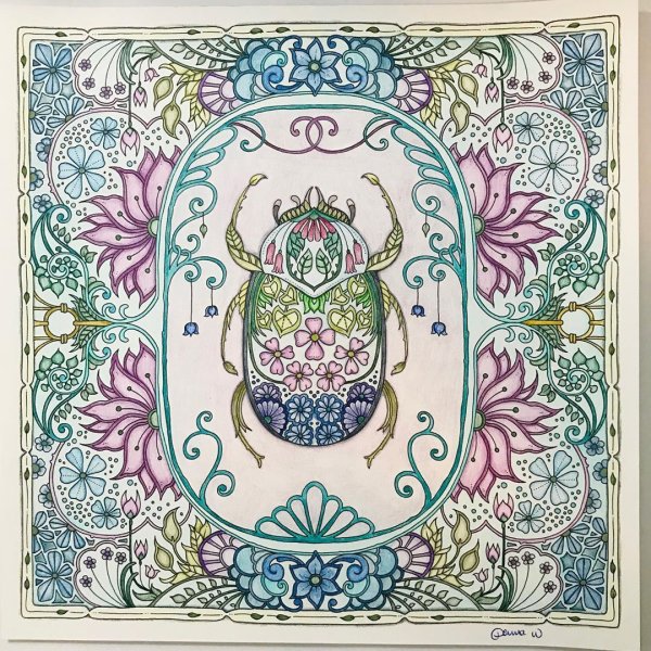 Мир цветов Джоанна Басфорд