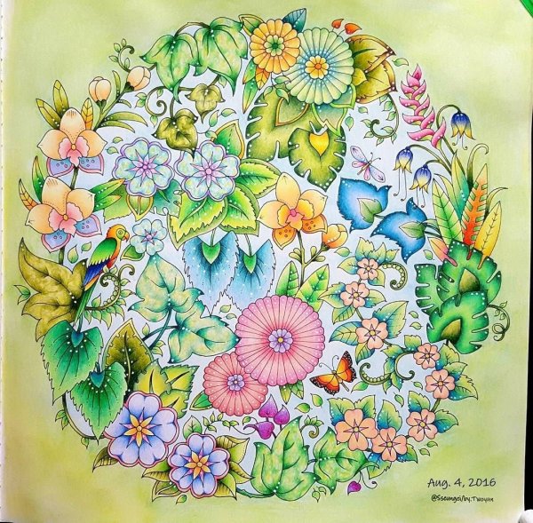 Удивительные джунгли Бэсфорд Джоанна