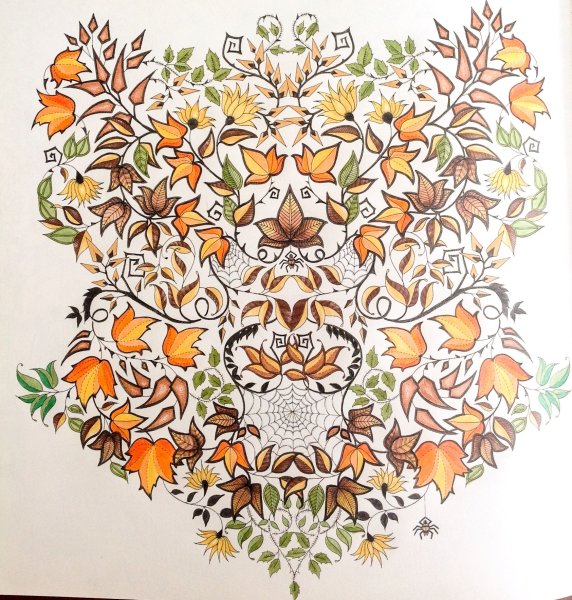 Джоанна Басфорд таинственный сад Раскрашенные