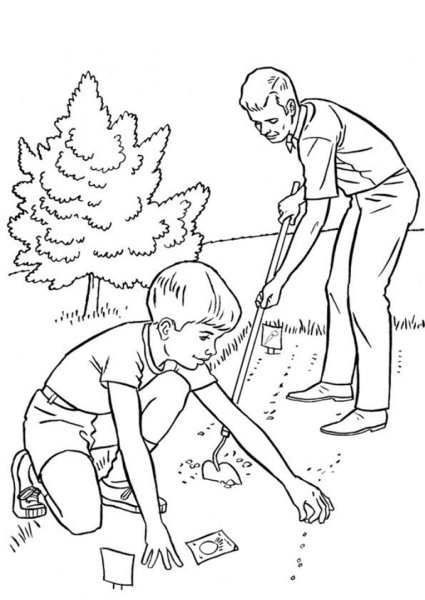 Раскраска сажать деревья