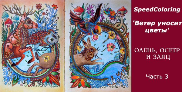 Раскраска для всех взрослых животные