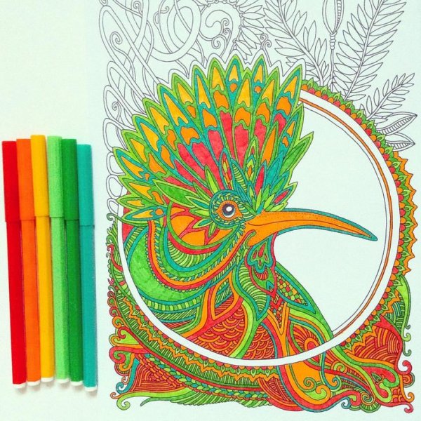 Раскрашенные раскраски антистресс в цвете