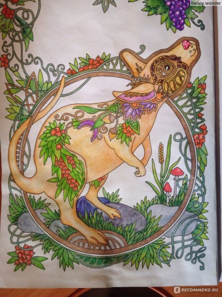 Ольга Головешкина раскраски апельсиновое дерево