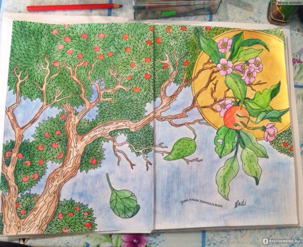 Обитель апельсинового дерева карта в цвете