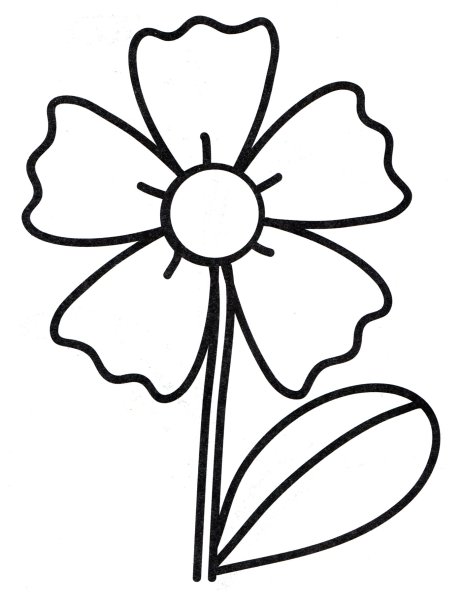 Раскраска цветочек