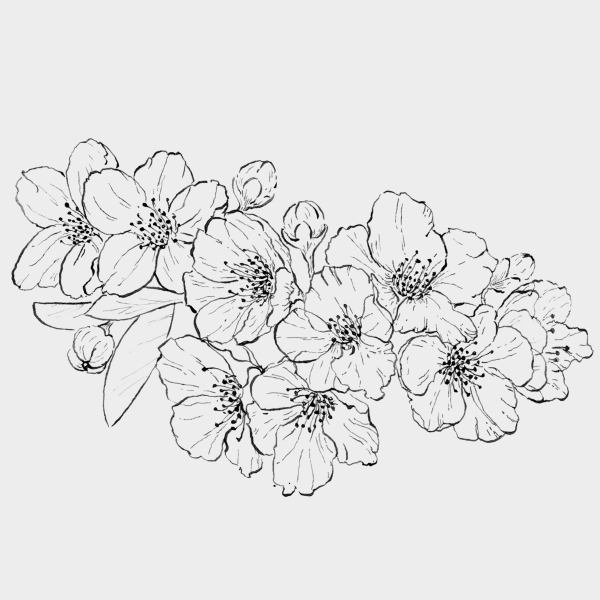 Черный контур цветов