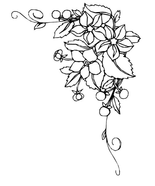 Раскраска цветочный уголок