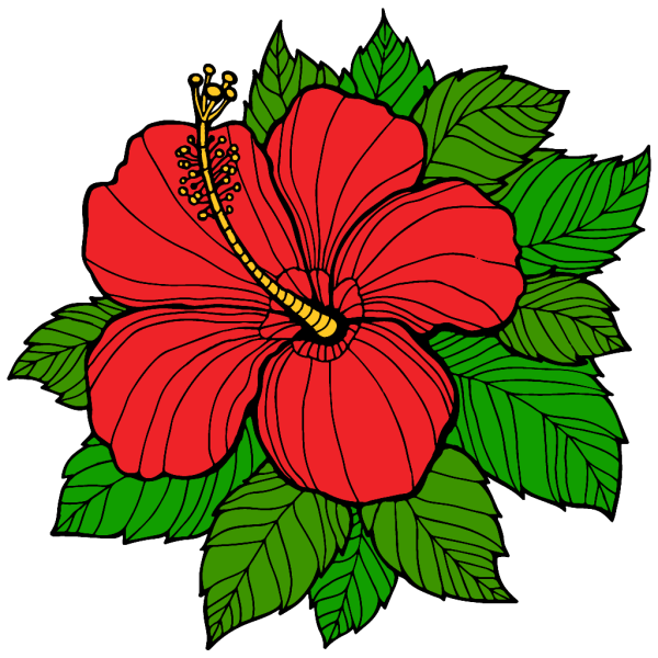 Цветы рисунок