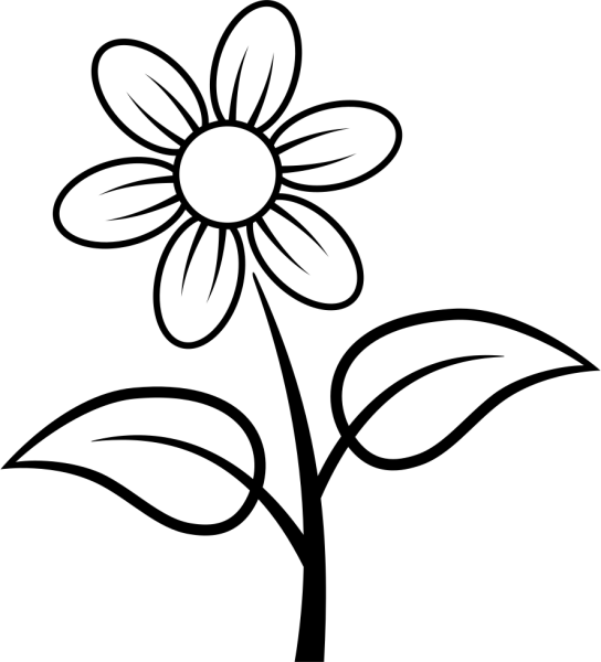 Раскраска цветочек