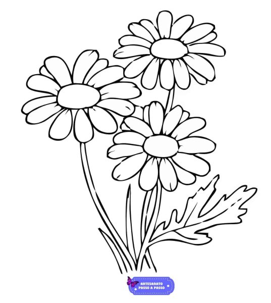 Ромашка раскраска