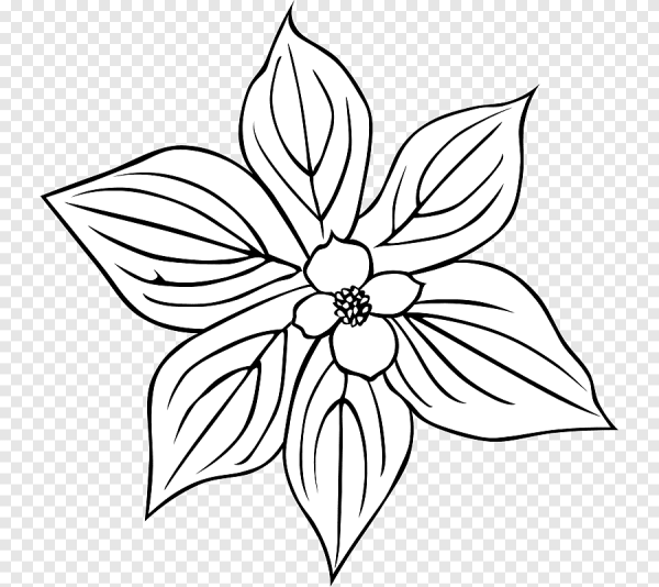 Цветы рисунок