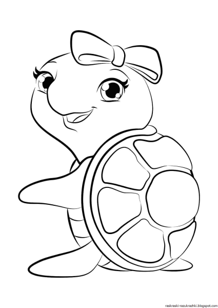 Раскраска черепаха