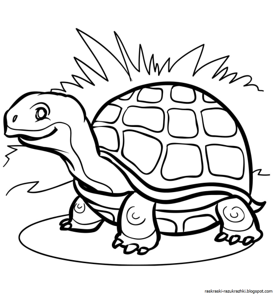 Черепашка раскраска для детей