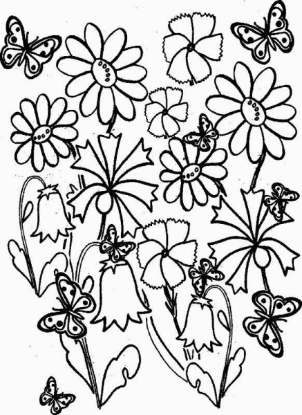Цветочный луг раскраска