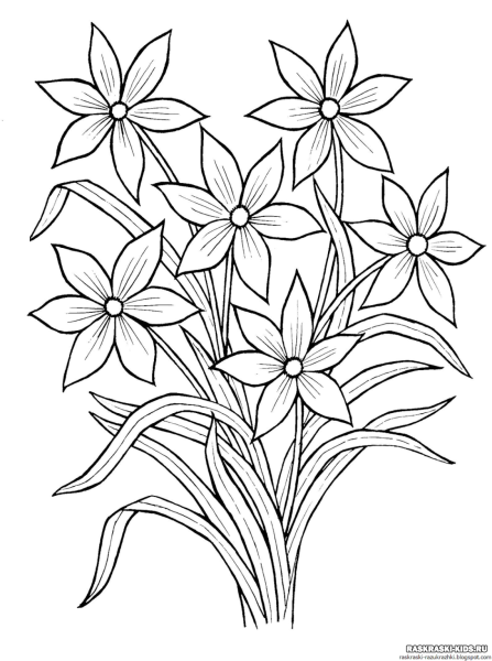 Цветы. Раскраска