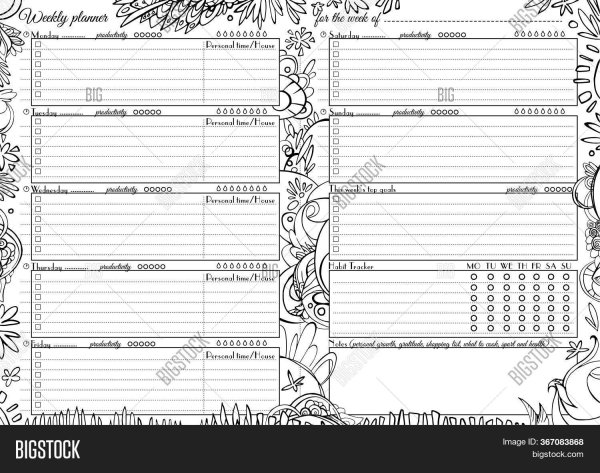 Планер черно белый