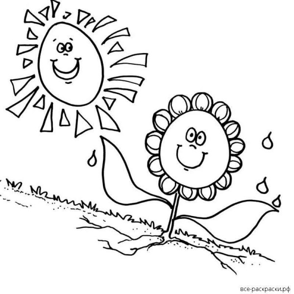 Подсолнух и солнце раскраска