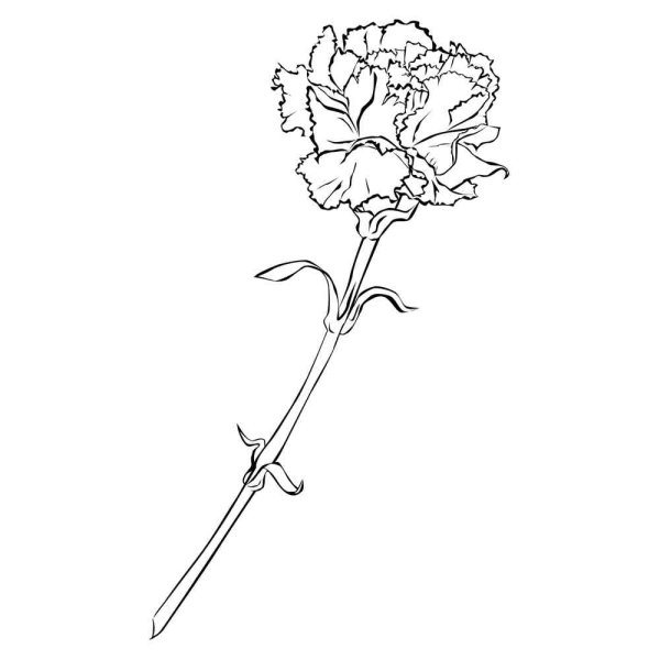 Гвоздика для раскрашивания