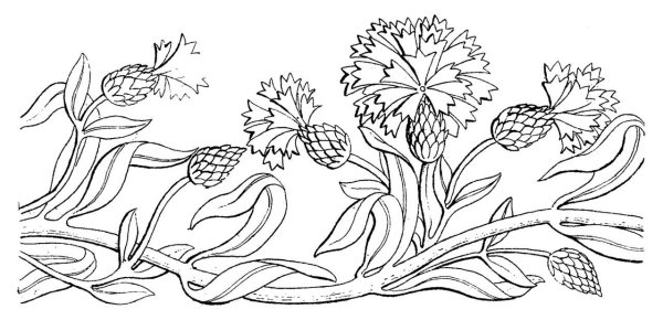 Раскраска цветы в полосе