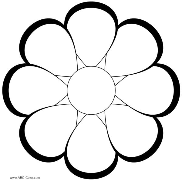 Цветы контур