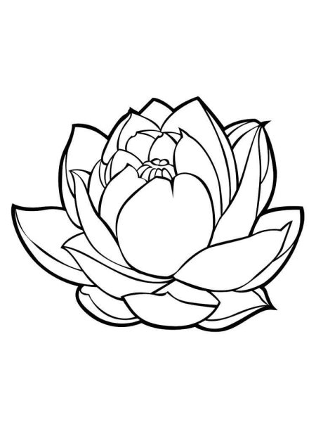 Раскраска Лотос цветок