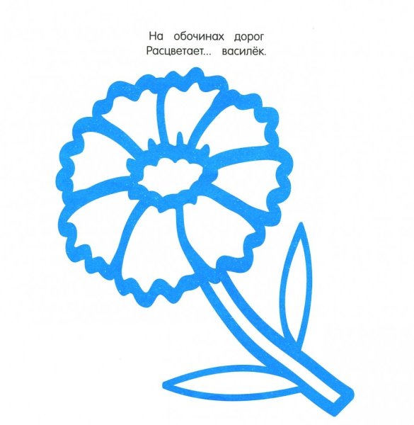 Василек раскраска для детей