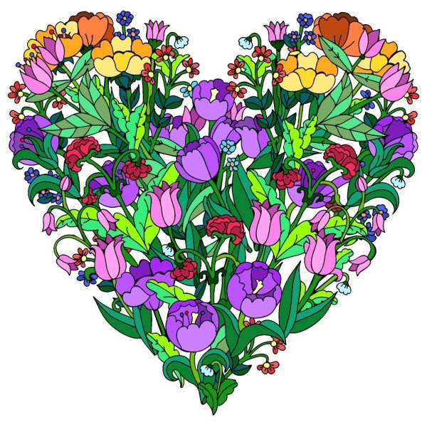 Разноцветные цветы