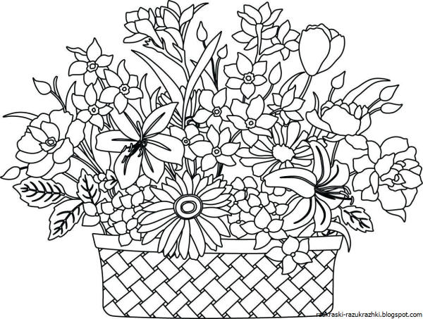 Цветы. Раскраска
