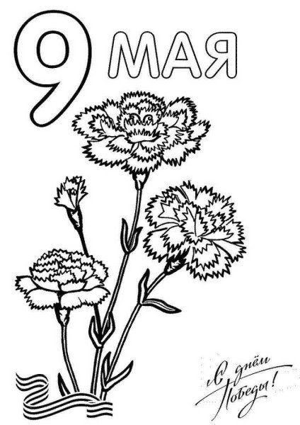 Гвоздики раскраска