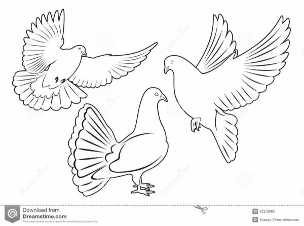 Два голубя для распечатывания