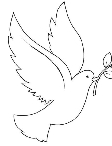 Голубь мира раскраска
