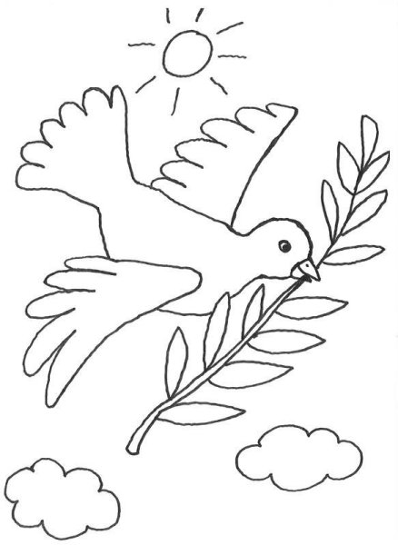 Голубь мира для разукрашивания