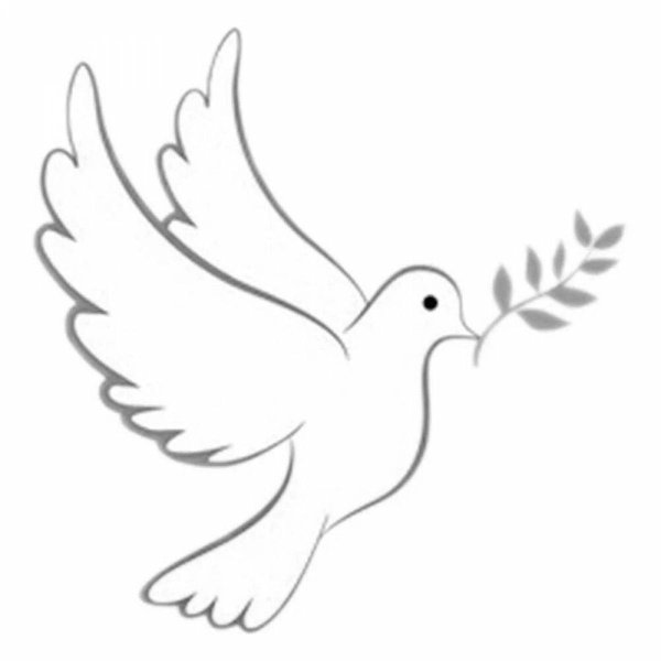 Голубь с веточкой