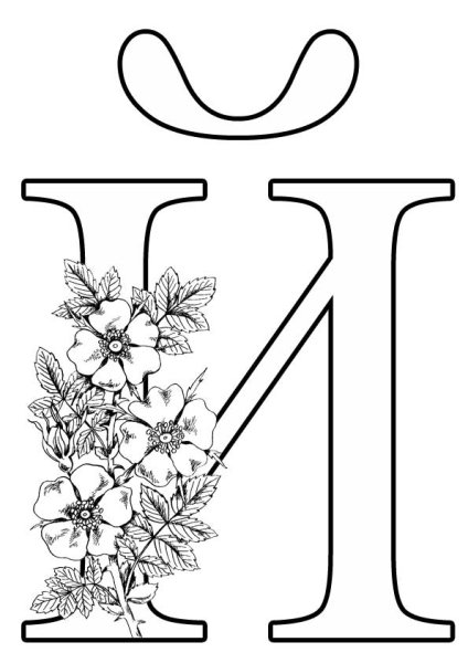 Буквы формата а4