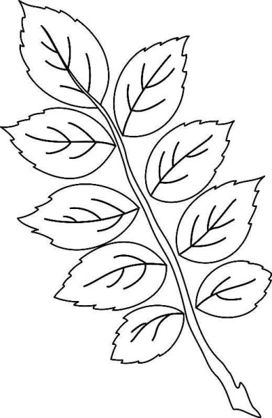 Трафарет листьев