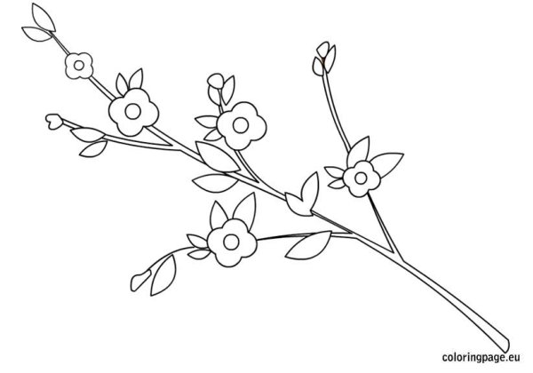 Раскраска Цветущая ветка для малышей