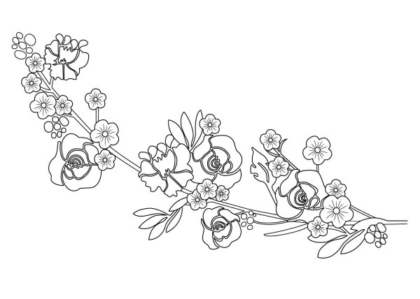 Ветка с цветами раскраска