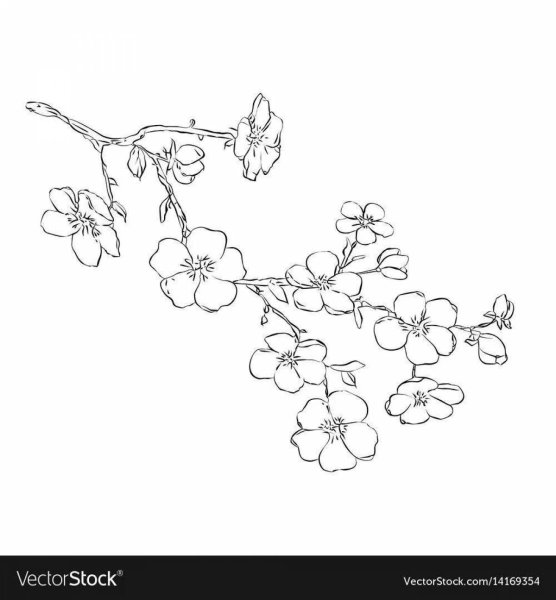 Веточка цветок контур