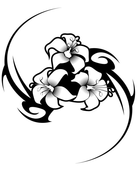 Черно-белый цветок