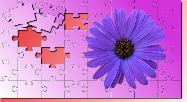 Пазл из цветов