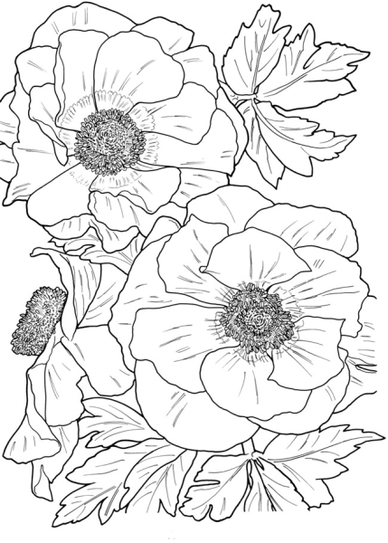 Эскизы для батика цветы