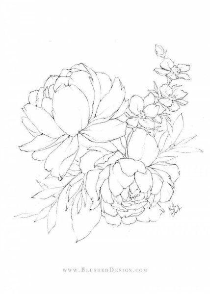 Трафарет пионы для рисования