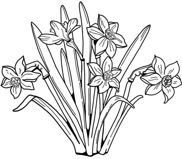 Весенние цветы раскраска